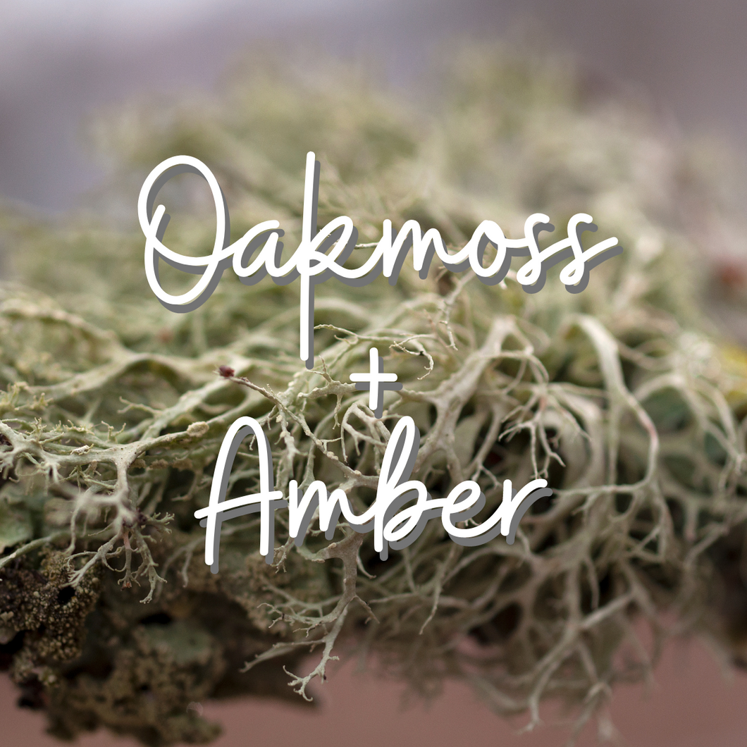 Oakmoss+Amber